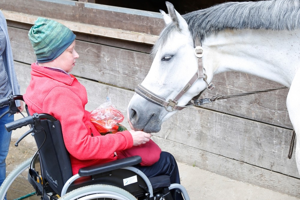 Besuch eines Reiterhofs.jpg Besuch eines Reiterhofs.jpg