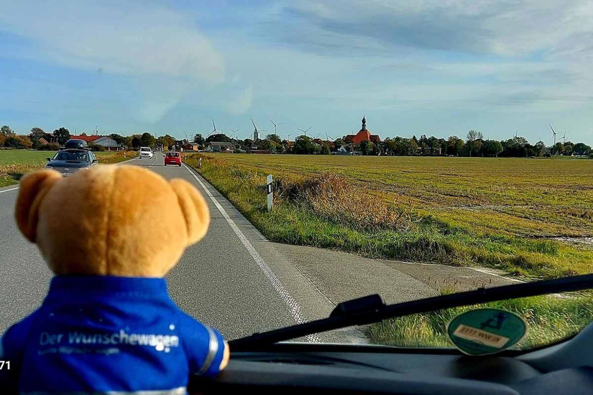 Teddy fährt im Wünschewagen über die Straße.jpg