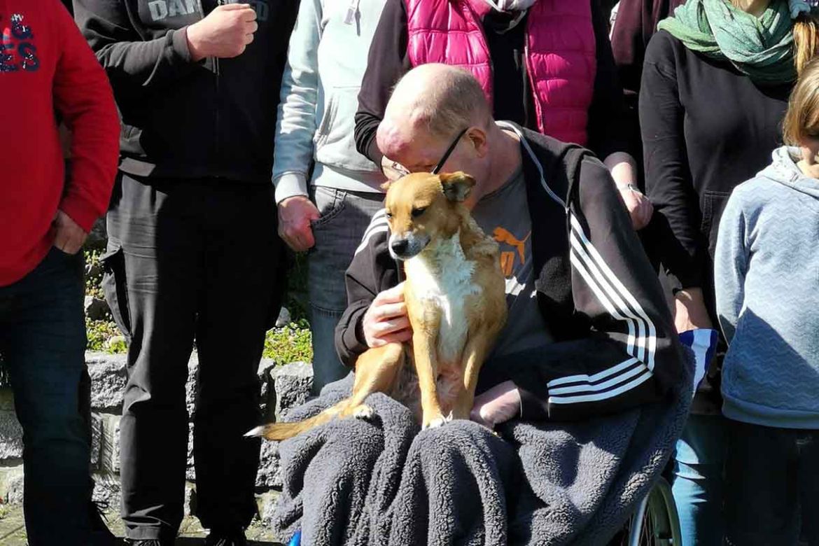 Fahrgast mit Hund auf dem Schoß.jpg