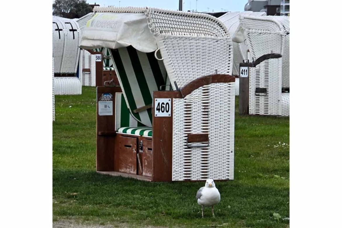 Strandkorb mit Möwe.jpg